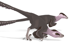 Deinonychus Paleo Reconstruction, Digital