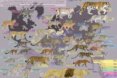 Cats of the World Poster, Digital